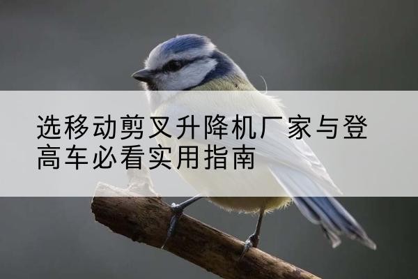 青海电动升降机厂家-选移动剪叉升降机厂家与登高车必看实用指南