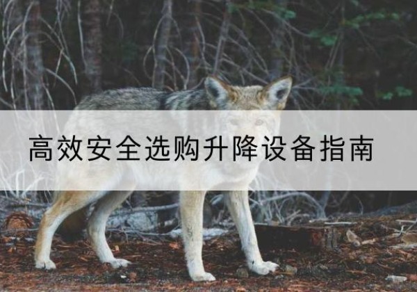 青海升降货梯厂家推荐-*安全选购升降设备指南